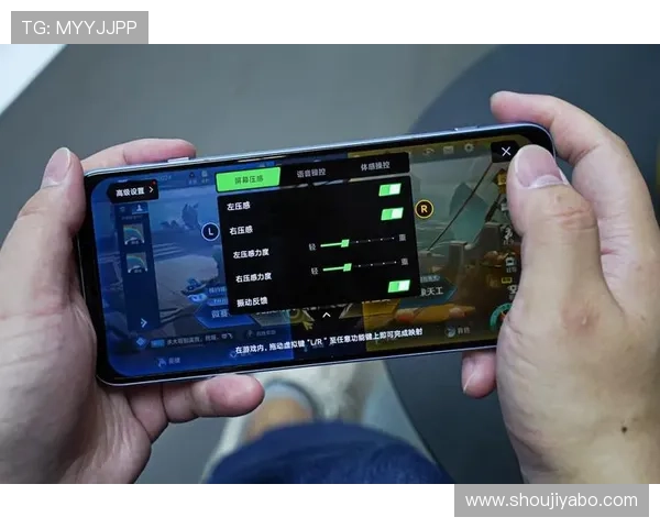 下载亚博YB官方手机版，享受安全稳定的游戏环境与丰富多样的娱乐内容