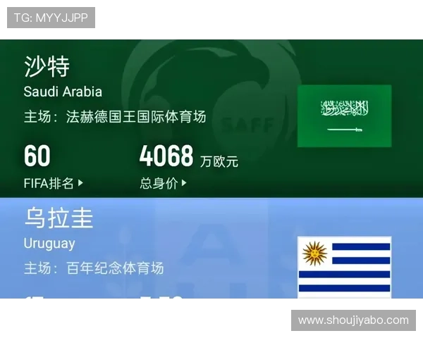 世界杯沙特乌拉圭比赛的官方电视转播频道及观看指南解析