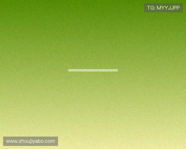 从埃及与新西兰的世界杯经验看两队在国际大赛中的战术调整与应对策略